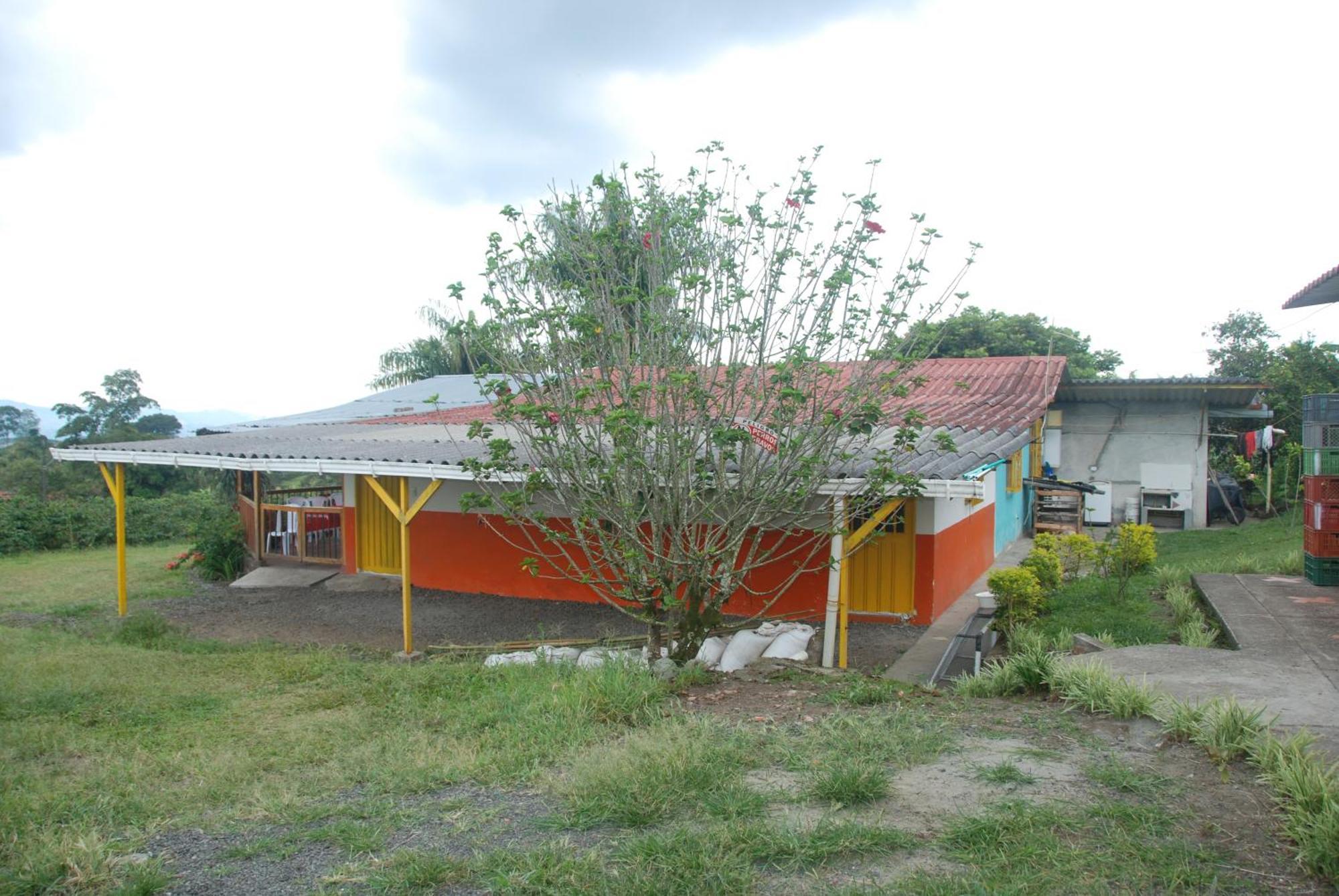Finca En El Quindio Arrullo Cafetero キンバヤ エクステリア 写真